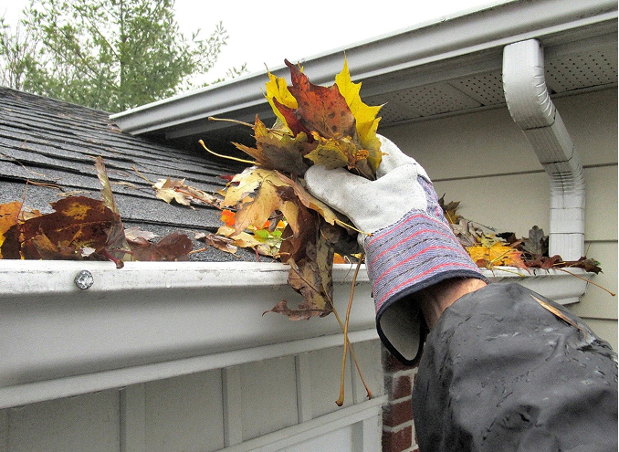 Gutter-Cleaning-101-2 1 Gutter-Cleaning-101-2 1