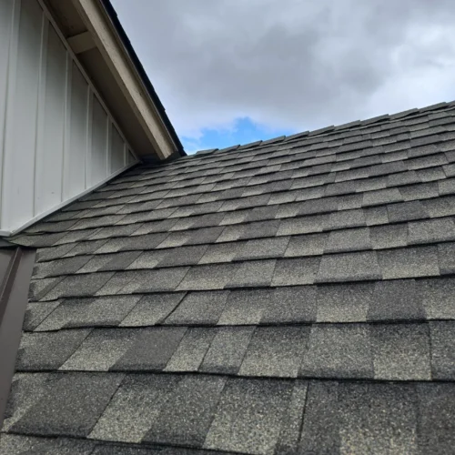 roofingproject3