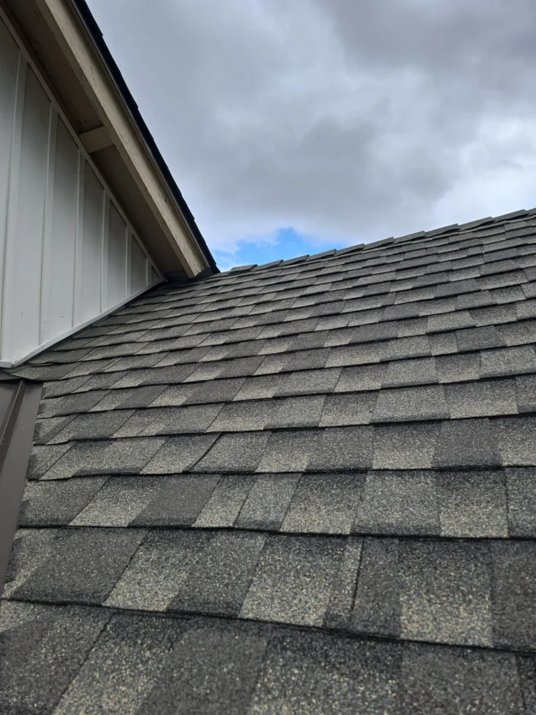 roofingproject3